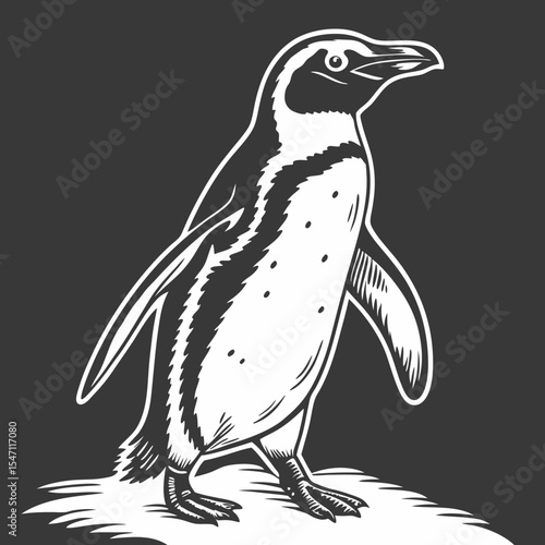 Penguin Silhouette – Black Vector Isolated Bird Illustration