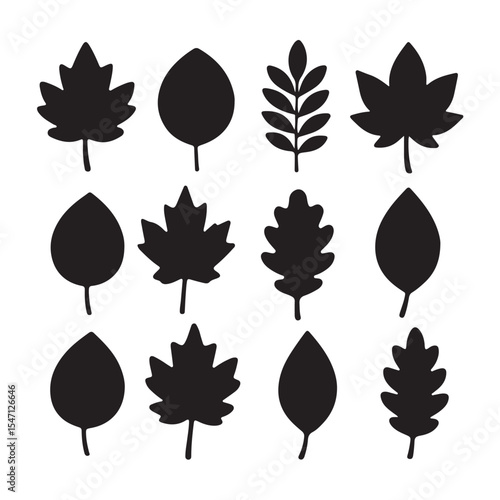 Autumn Leaves Shapes Silhouettes Outline Icons Set
