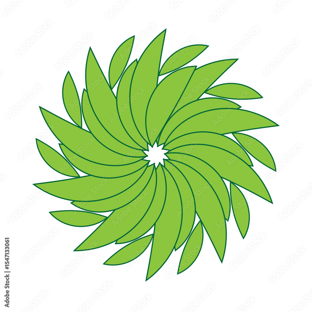Obraz premium green leaf isolated on white background