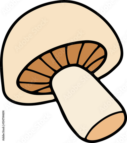 mushroom food fungi food	