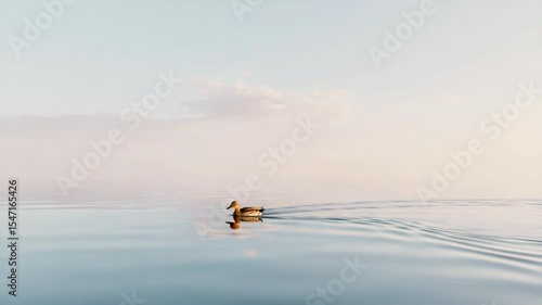 serene sunrise over tranquil lake with soft mist rising from water