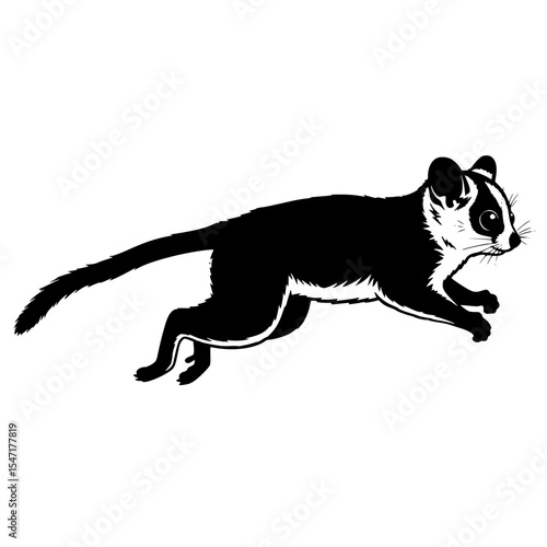 Anatomy and Characteristics of a Civet A Comprehensive Guide to Identification and Behavior