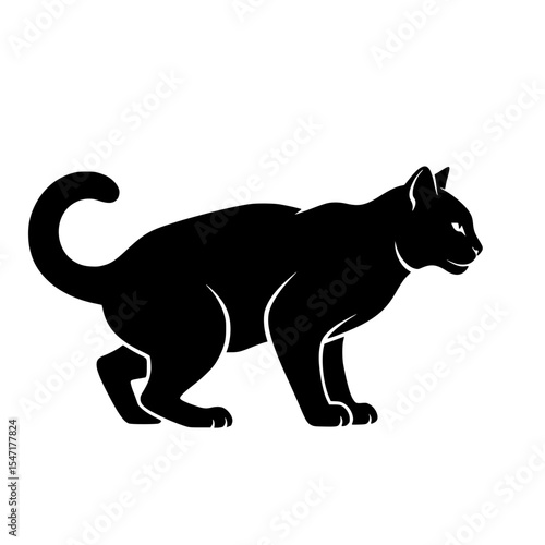 A Comprehensive Guide to Feline Behavior Understanding Your Cat's Actions and Communication Methods for a Happy Pet