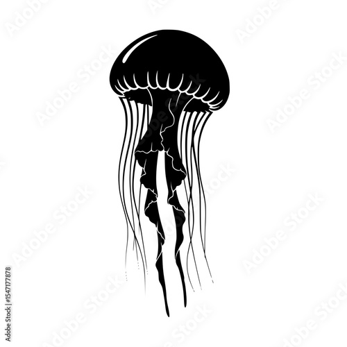 The Underwater Ballet A Portrait of a Jellyfish in a Sea of Ink and Shadow