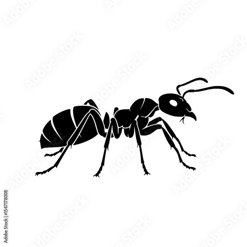 Detailed Study of Ant Anatomy Behavior and Ecological Role in the Ecosystem and its Social Organization