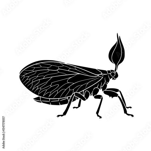 The Majestic Lanternfly A Study in Insect Morphology Behavior and Ecological Impact on Forest Ecosystems