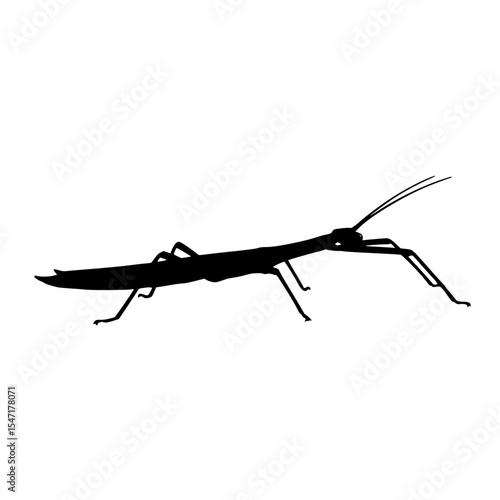 A Silhouette Depiction of a Stick Insect A Master of Camouflage in the Natural World