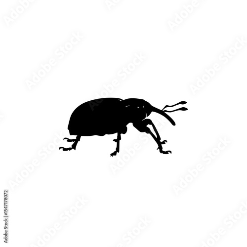 Silhouette of a Weevil Insect with Elongated Snout Antennae and Legs in a Simple Black and White Graphic