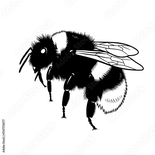 Exploring the Fuzzy World of Bumble Bees Vital Pollinators and Their Crucial Role in Ecosystems