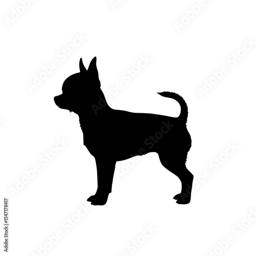 Unveiling the Miniature Marvel A Comprehensive Look at the Chihuahua Breed and Its Charming Traits