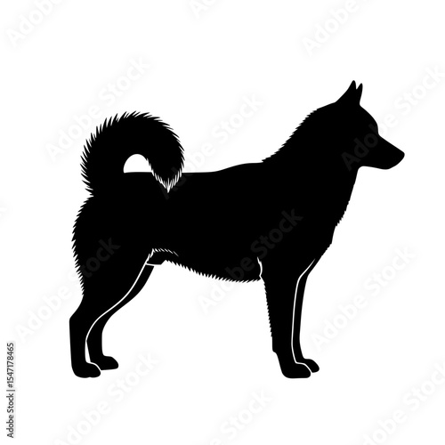 Understanding the Norwegian Elkhound The Grey Hunter of the North A Comprehensive Overview