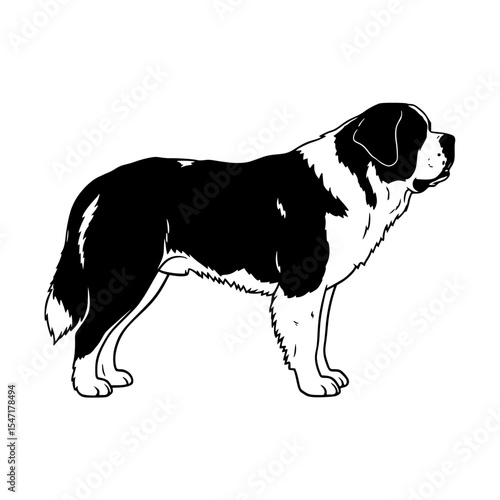An Exploration of the Majestic Saint Bernard Breed History Temperament and Care Requirements