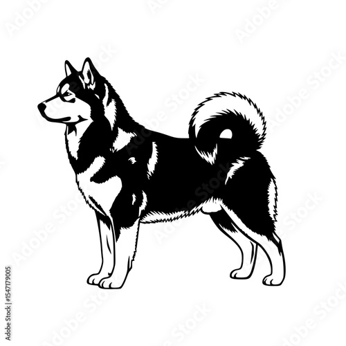 A Majestic Alaskan Malamute Detailed Black and White Drawing Portraying Strength and Grace of the Arctic Breed