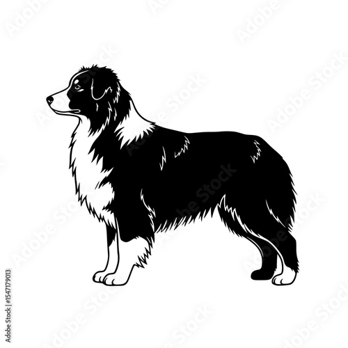 A Comprehensive Guide to Understanding and Caring for Herding Dogs The Intelligent and Energetic Breeds