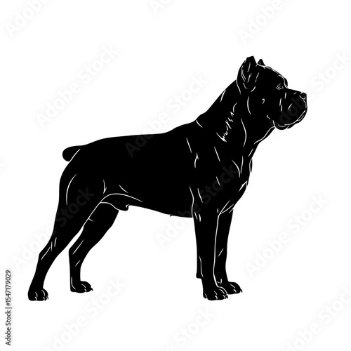 The Cane Corso Breed A Comprehensive Overview of Characteristics Temperament Care and Training Strategies for Dog Owners