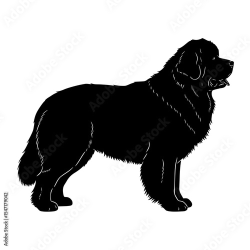 An Overview of the Newfoundland Dog Breed History Temperament Grooming and Health Concerns