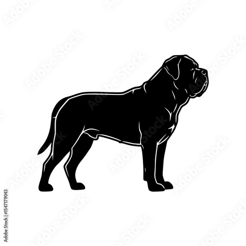 Understanding the Breed Characteristics and Temperament of Large Powerful Mastiff Type Dogs as Loyal Family Companions