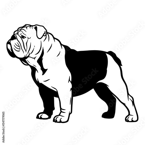 Understanding the Physical Characteristics and Temperament of Bulldog Breeds and How to Properly Take Care of Them