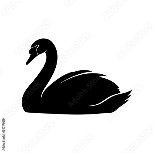 The Symbolism and Elegance of the Black Swan A Deeper Look into Its Mystique