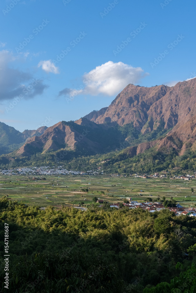 Obraz premium Beautiful rice fields stretch across the valley with the striking Anak Dara Hill of Sembalun – Lombok rising in the background under a bright blue sky.