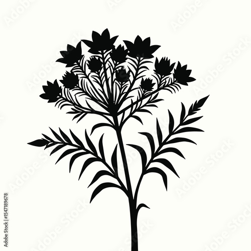 Black Silhouette Verbena Flower Vector in Clustered Bloom Pattern with Small Petals on White Background Full HD