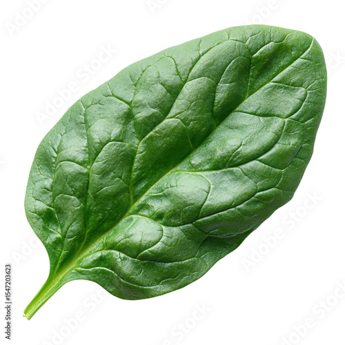spinach leaves isolated on transparent background 