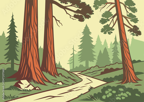 Redwood Forest, California – Vector Landscape Illustration