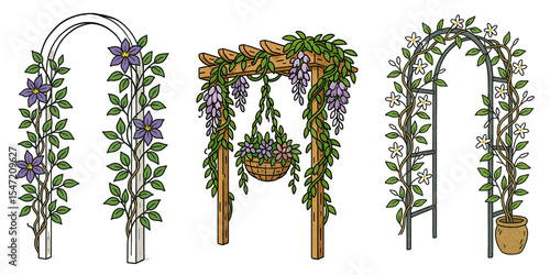 Vines on pergolas in various styles and colors for garden decoration  