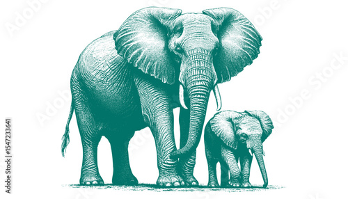 African Elephant Vector