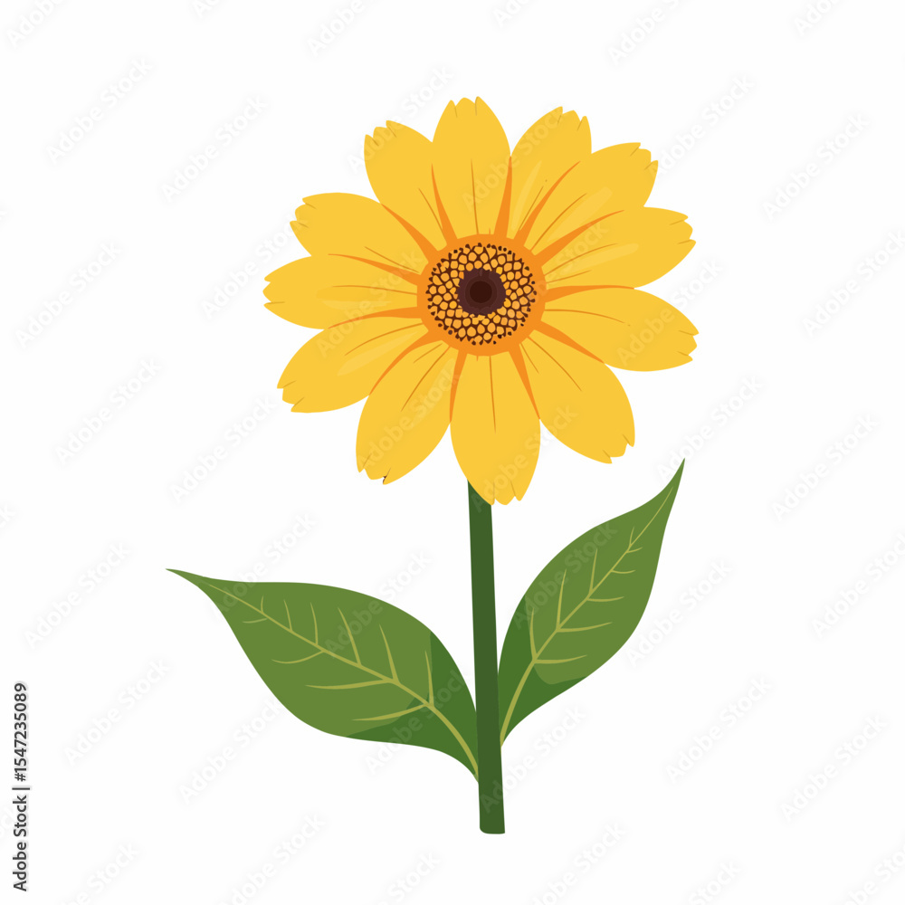 Fototapeta premium Yellow sunflower with green leaves on white background 
