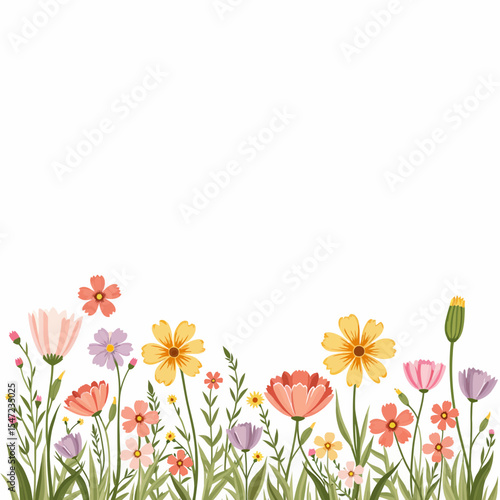 Colorful wildflowers in bloom on a white background