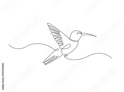 flying colibri or hummingbird in single outline illustration. Continuous line art drawing of hummingbird bird. Editable stroke.