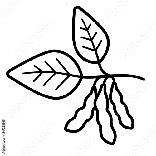 Bean plant icon with leaves, stem and three ripe seed pods. Legume, soybean or green bean vector graphic in black and white outline style for agriculture and farming.