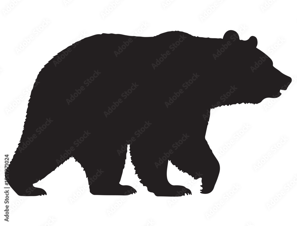 Fototapeta premium BEAR SILHOUETTE