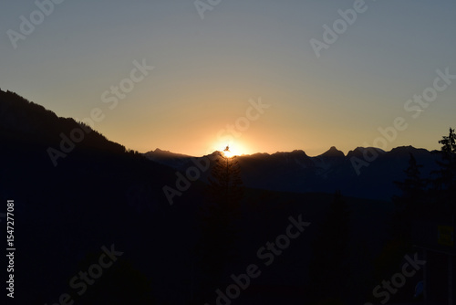 Wallpaper Mural Letzte Sonnenstrahlen scheinen glitzernd durch einen Tannenbaum vor den Schweizer Alpen Torontodigital.ca