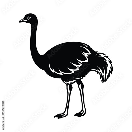 Ostrich vector silhouette