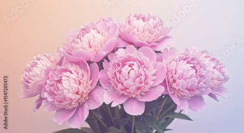 Wallpaper Mural Romantic Floral Background Torontodigital.ca