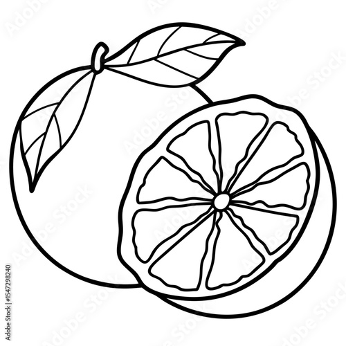 Simple outline illustration of a single peeled citrus fruit segment