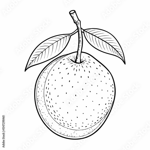 Simple outline drawing of a whole nance fruit with its stem