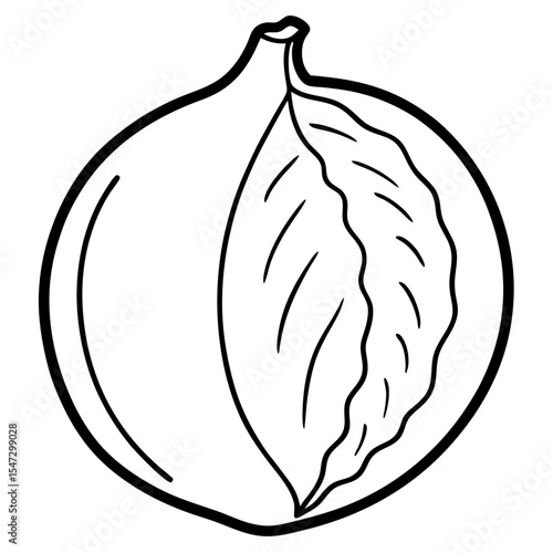 Outline illustration of a segmented santol fruit with its inner flesh and seeds