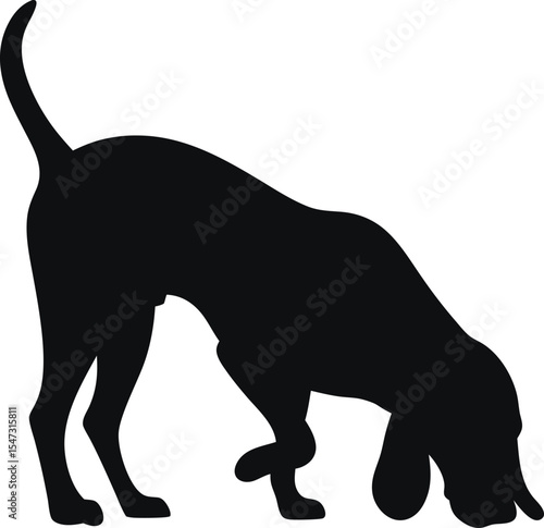 Alert Beagle Silhouette: A Curious Outline of the Scent Hound with Nose to Ground, Ideal for Expressing Exploration and Friendly Nature on a Crisp White Background.