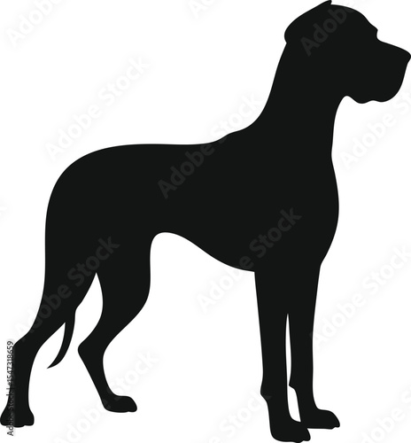 Majestic Great Dane Silhouette: An Imposing Outline of the Giant Canine Standing Proudly, Ideal for Symbolizing Gentle Giant Nature and Noble Presence on a Pure White Background.