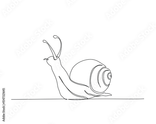 Snail- mollusk outline illustration. Continuous line drawing of snail.