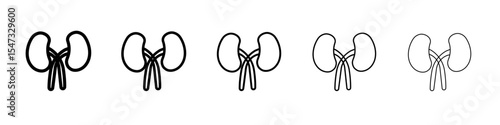 kidney icon flat illustration set logo