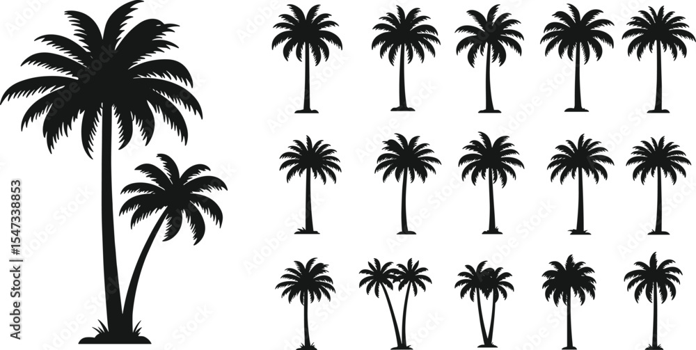 Collection of tropical palm tree silhouette vector illustrations, exotic beach elements, black summer tree shapes, isolated icons for travel design, editable natural clipart Collection of tropical palm tree silhouette vector illustrations, exotic beach elements, black summer tree shapes, isolated icons for travel design, editable natural clipart