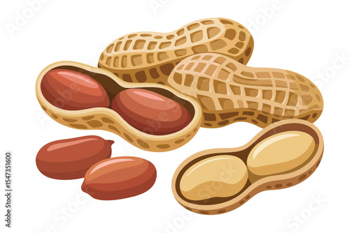 Fresh Peanuts in Shells and Shelled Peanuts