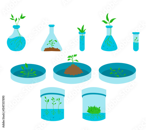 Vector illustration of various in vitro plants growing in glass test tubes, representing plant tissue culture, biotechnology, and micropropagation. Ideal for educational, scientific, and agricultural