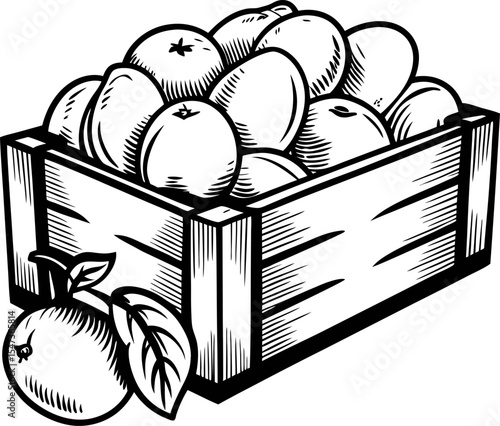 Wooden crate filled with ripe oranges and leaves in hand drawn engraving illustration