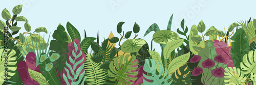 Tropical forest seamless background. Nature green leaves, exotic plants, botanical border, horizontal floral loopable banner