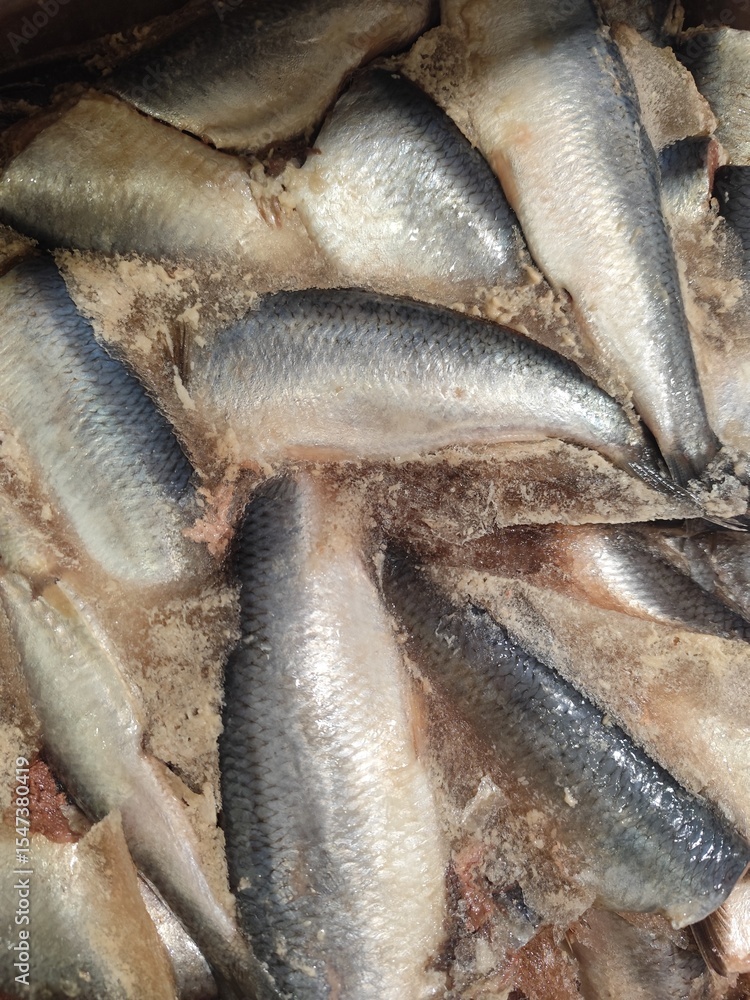 Obraz premium fresh fish on market stall